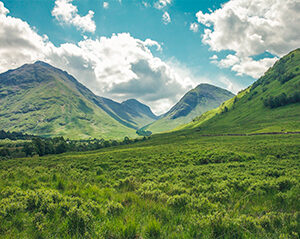 Consulta Psiquiátrica